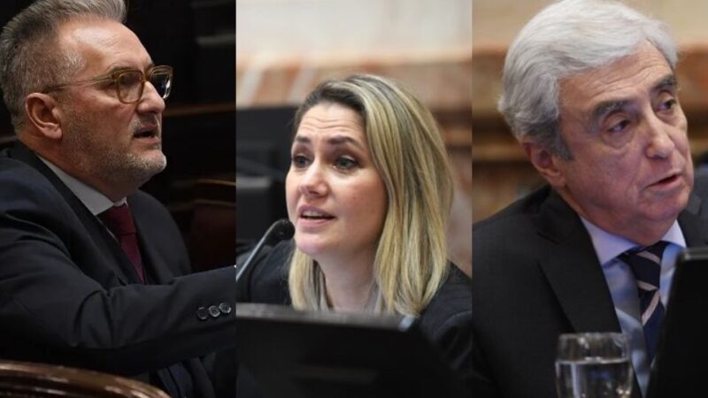 Ley Bases: cómo votaron los senadores santafesinos