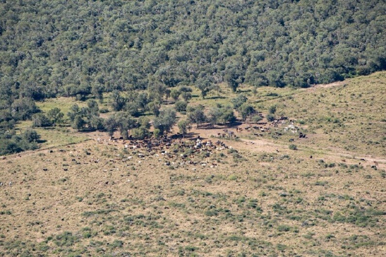 Santa Fe avanza en la creación del Comité de Cuenca Forestal