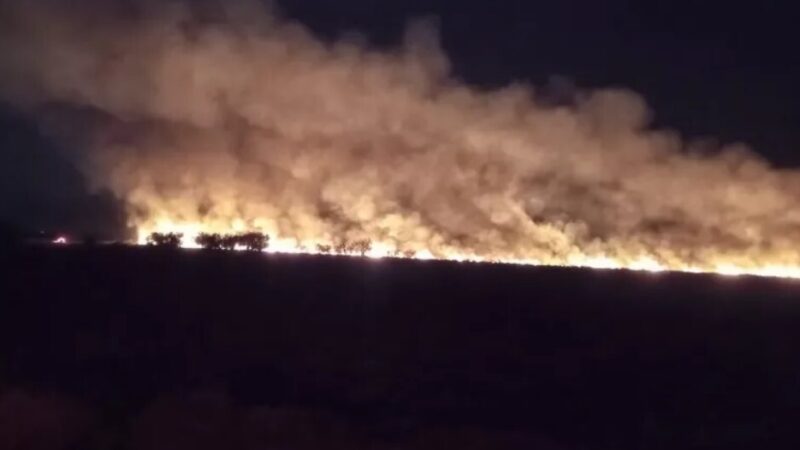 Incendio de pastos detrás de La Rural de Reconquista