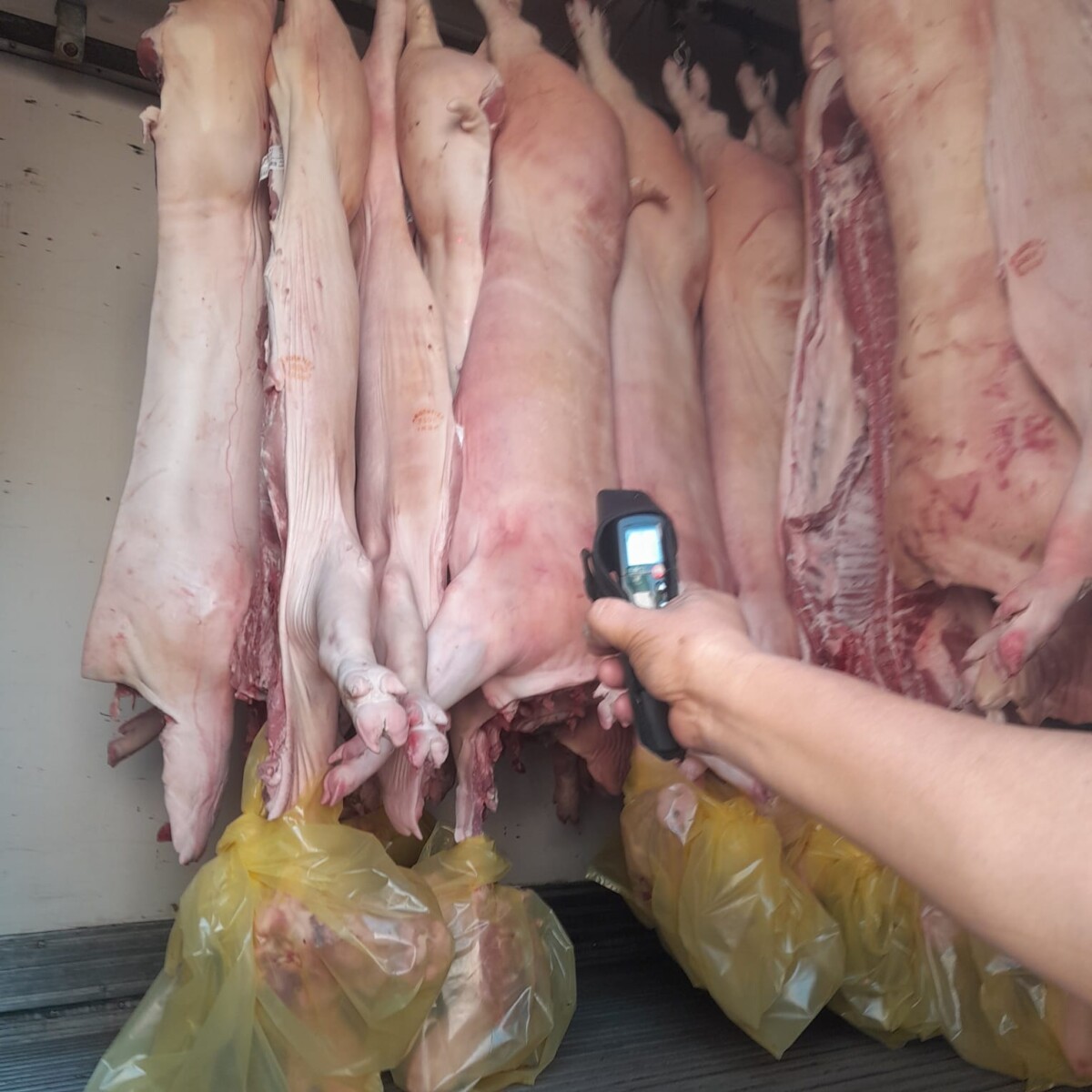 Reconquista: carnicerías se comprometen con la seguridad alimentaria