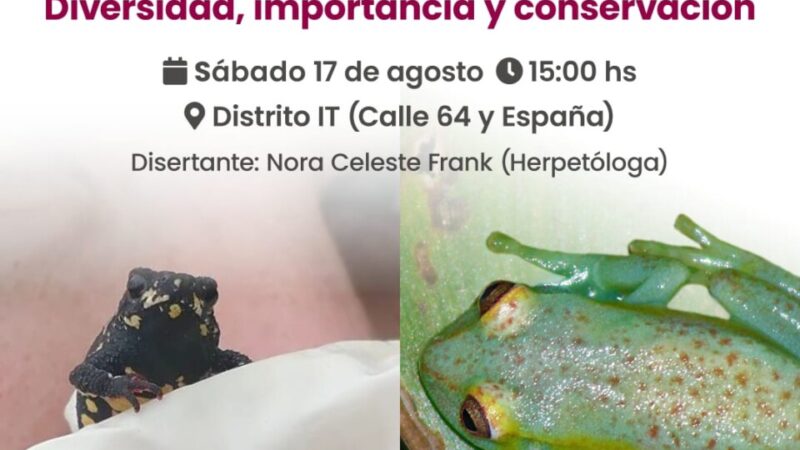 Anfibios en Santa Fe: Diversidad, importancia y conservación