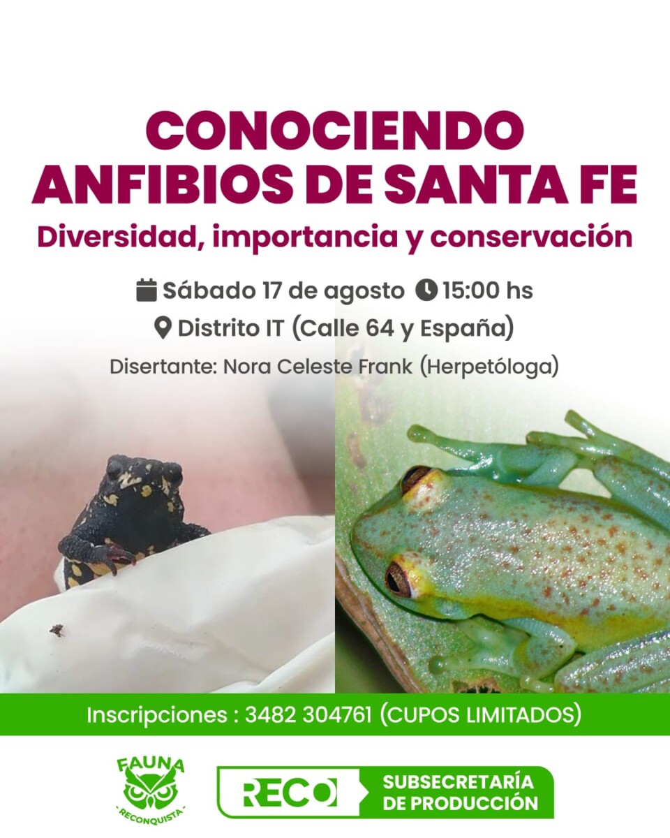 Anfibios en Santa Fe: Diversidad, importancia y conservación