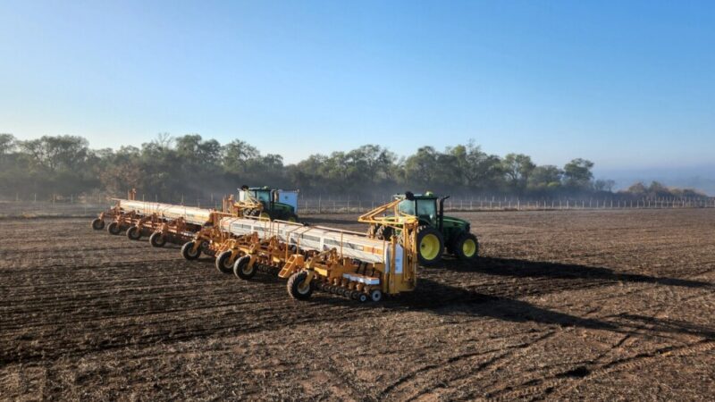 Comenzó la siembra de girasol en el norte de Santa Fe