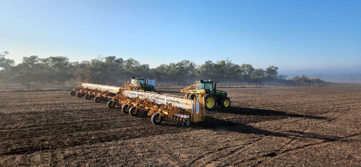 Comenzó la siembra de girasol en el norte de Santa Fe