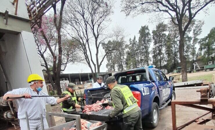 Decomisaron más de 200 kilos de carne en estado de descomposición