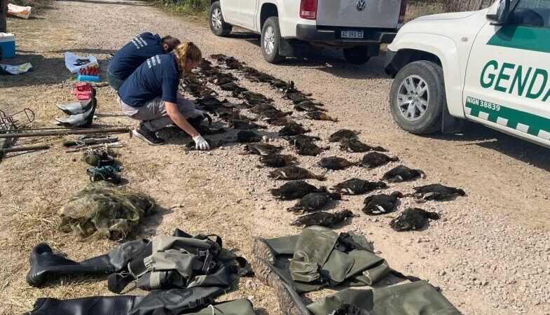 Intiyaco: condenaron a guía de turismo por matanza ilegal de patos
