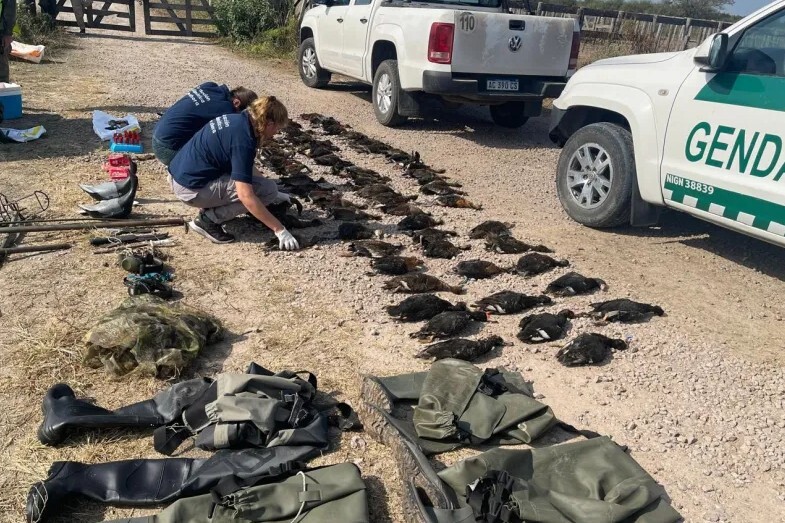 Intiyaco: condenaron a guía de turismo por matanza ilegal de patos