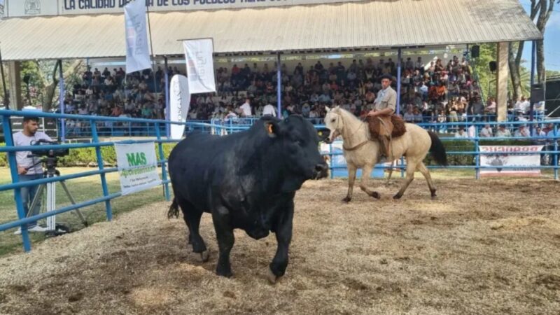 Primer Remate Especial del Norte en Reconquista