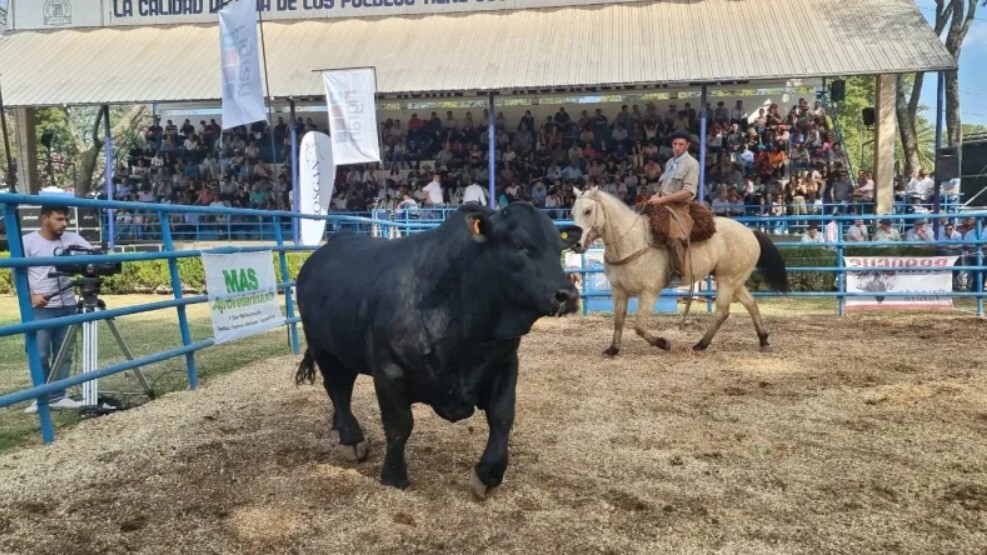 Primer Remate Especial del Norte en Reconquista