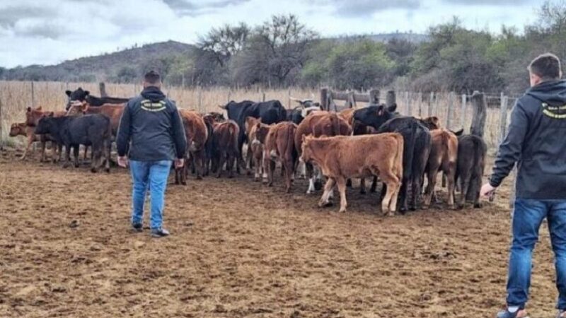«El abigeato se redujo un 90 % en el norte», según la Guardia Rural Los Pumas