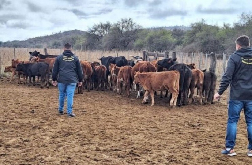 «El abigeato se redujo un 90 % en el norte», según la Guardia Rural Los Pumas