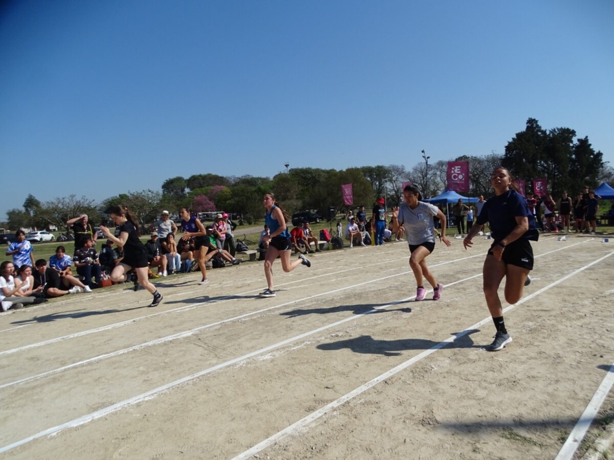 Resultados de Calistenia ¿Cómo sigue la estudiantina?