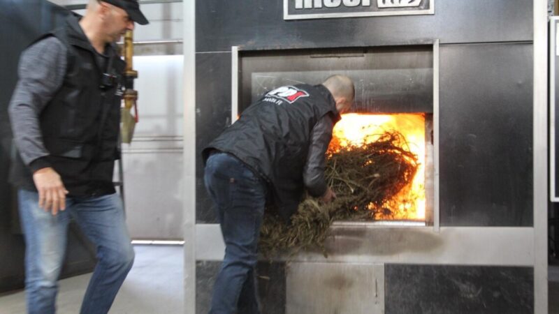 Provincia quemó más de 40 kilos de marihuana y cocaína