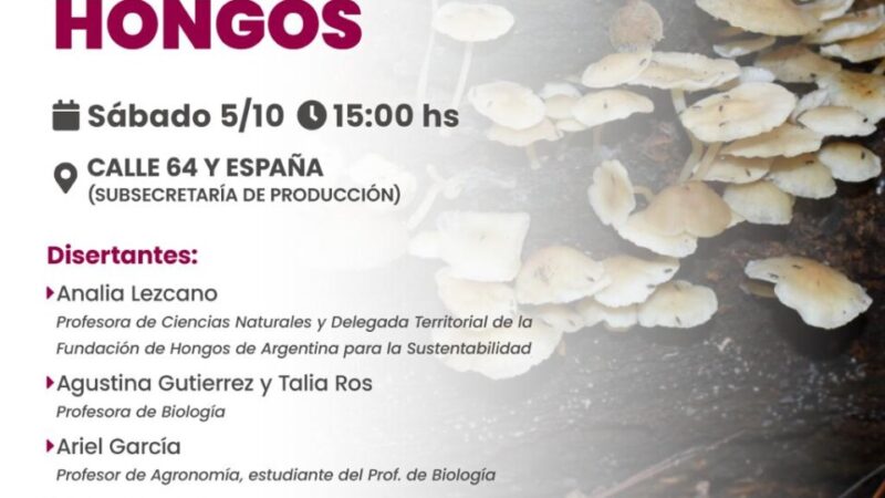 Invitan a la charla “El Maravilloso Mundo de los Hongos”