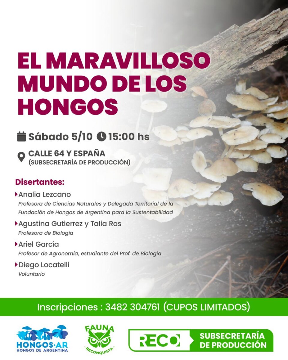 Invitan a la charla “El Maravilloso Mundo de los Hongos”