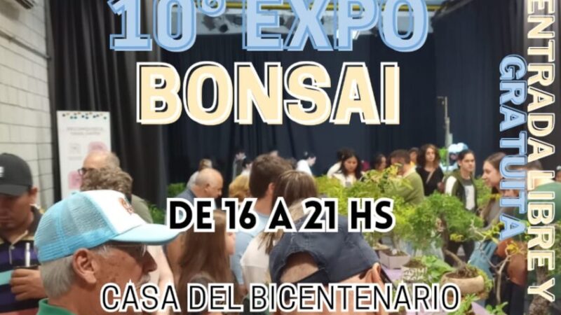 Llega la «Expo Bonsái» a la Casa del Bicentenario ¿Cúando se realizará?