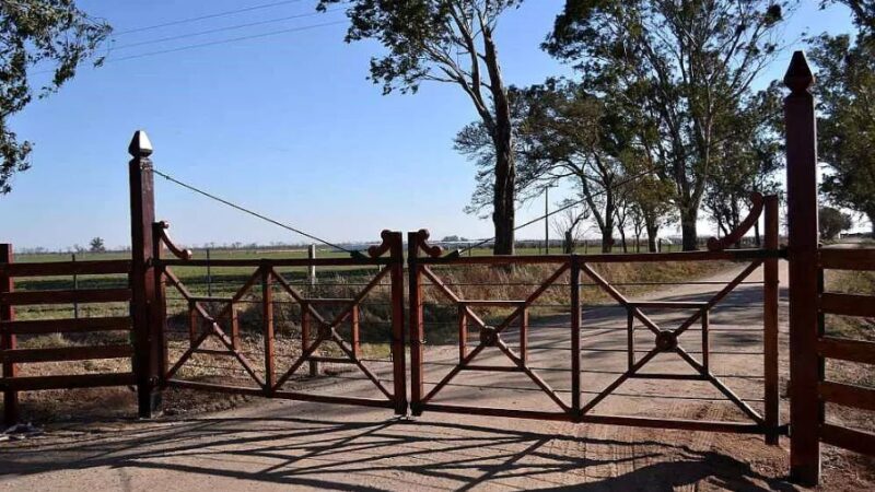 Bajos márgenes y retenciones frenan la inversión en el agro