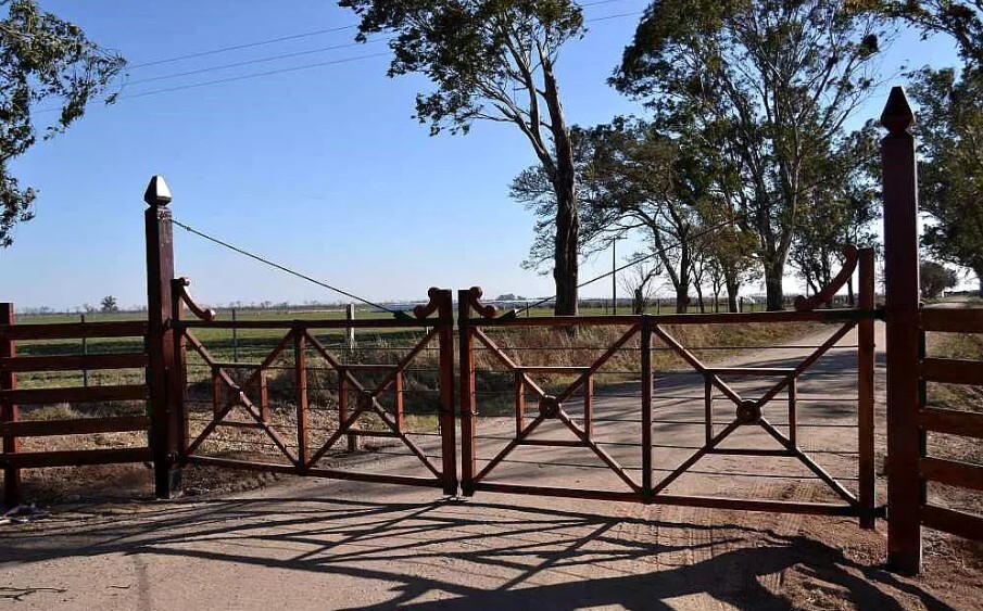 Bajos márgenes y retenciones frenan la inversión en el agro