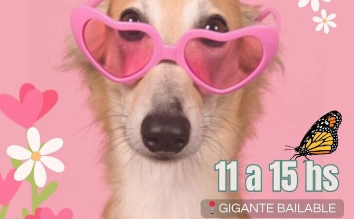 Vuelve la Feria a Cielo Abierto de Garras y Patas en Avellaneda