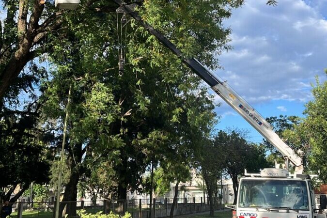 Corte de tránsito en Calle 19 de Avellaneda por poda hasta el mediodía