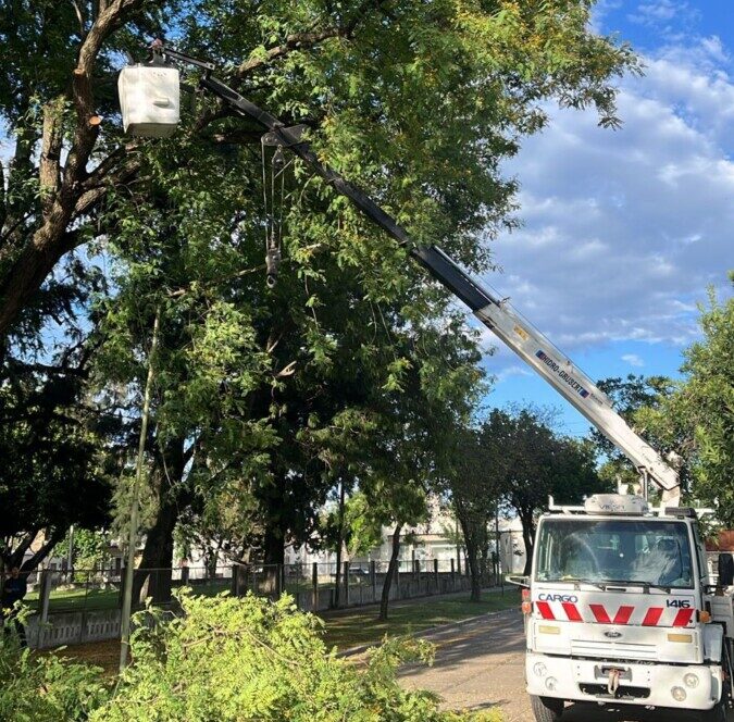 Corte de tránsito en Calle 19 de Avellaneda por poda hasta el mediodía