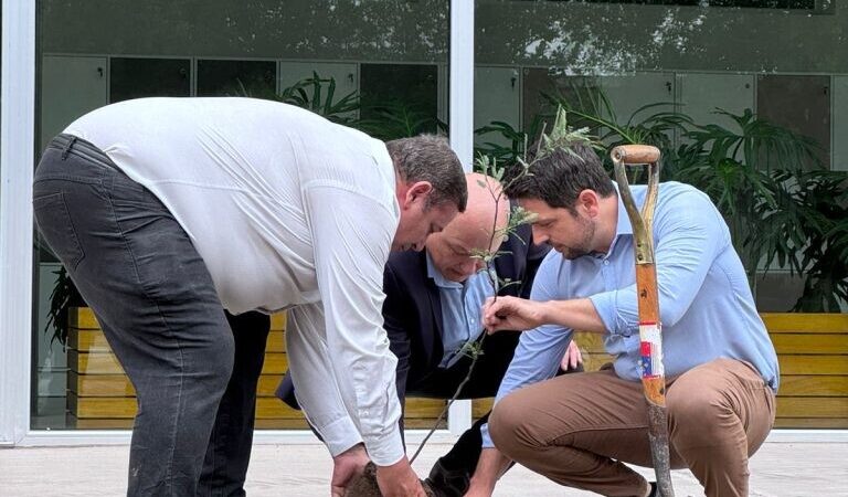 Avellaneda y la UNL presentan programa de plantación de árboles por graduado