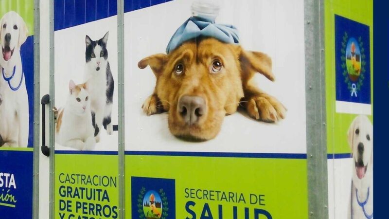 Quirófano móvil de sanidad animal atiende en barrio Obligado