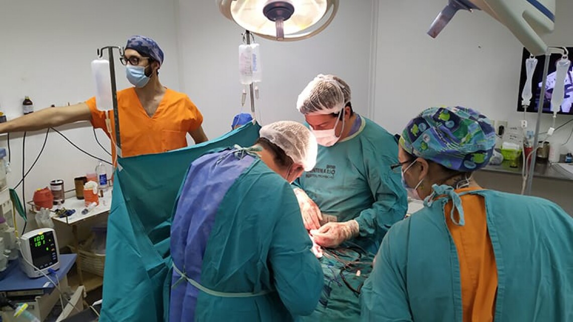 Cudaio: en 2024, Santa Fe fue la tercera provincia con más donantes de órganos