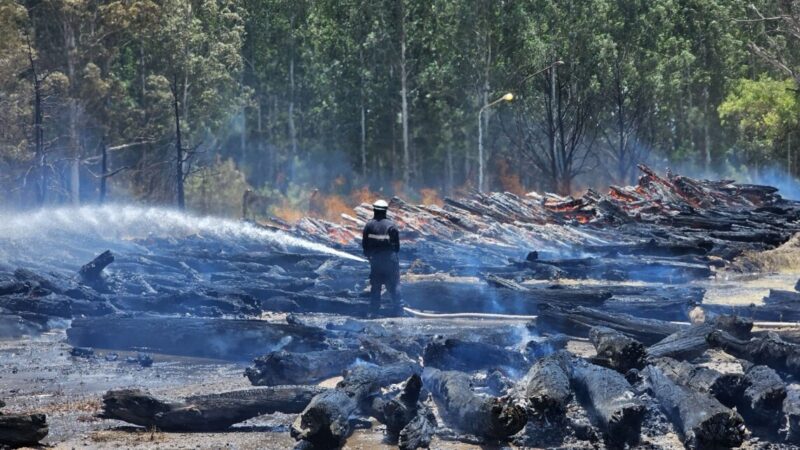 Brigadistas santafesinos lograron controlar voraz incendio en Capitán Bermúdez