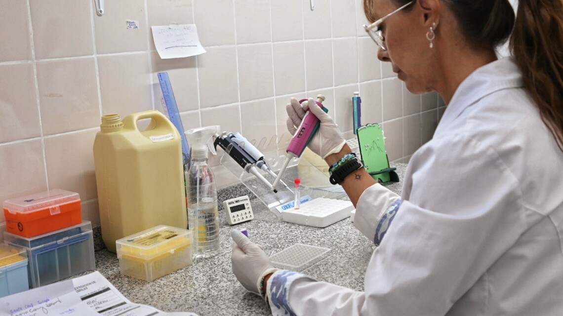 Con 50% más de insumos y en red: así trabajan los laboratorios de la Provincia de Santa Fe para la detección del dengue