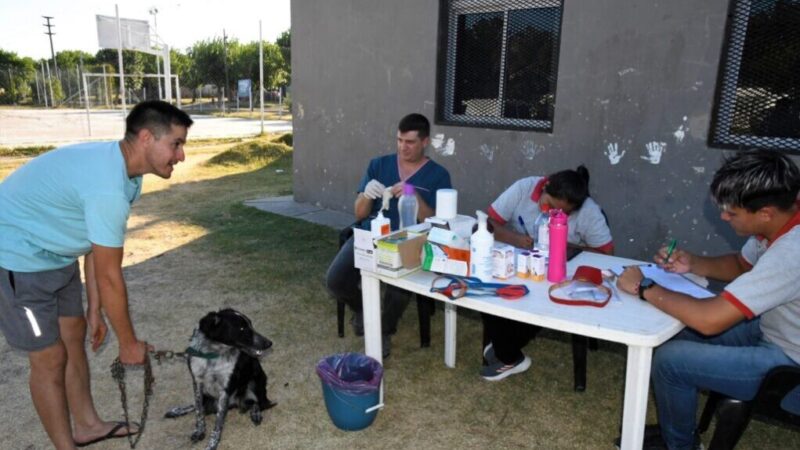 El quirófano móvil recorre los barrios de Avellaneda