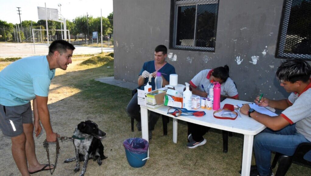 El quirófano móvil recorre los barrios de Avellaneda