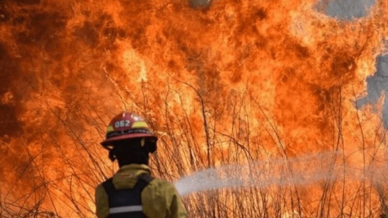 Corrientes: El 90% del territorio fue alcanzado por incendios
