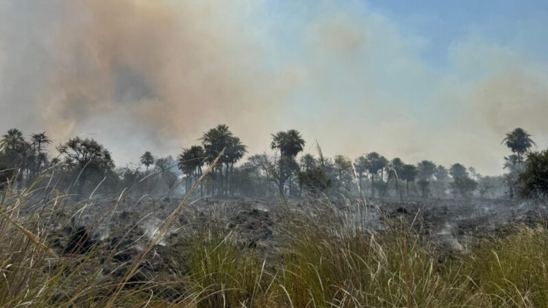 Más de mil hectáreas afectadas por un gran incendio en la zona de El Timbo