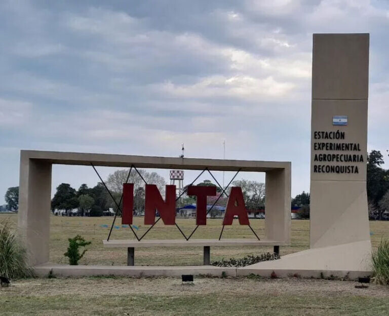 Encuentro internacional sobre algodón en la Estación Experimental de INTA Reconquista