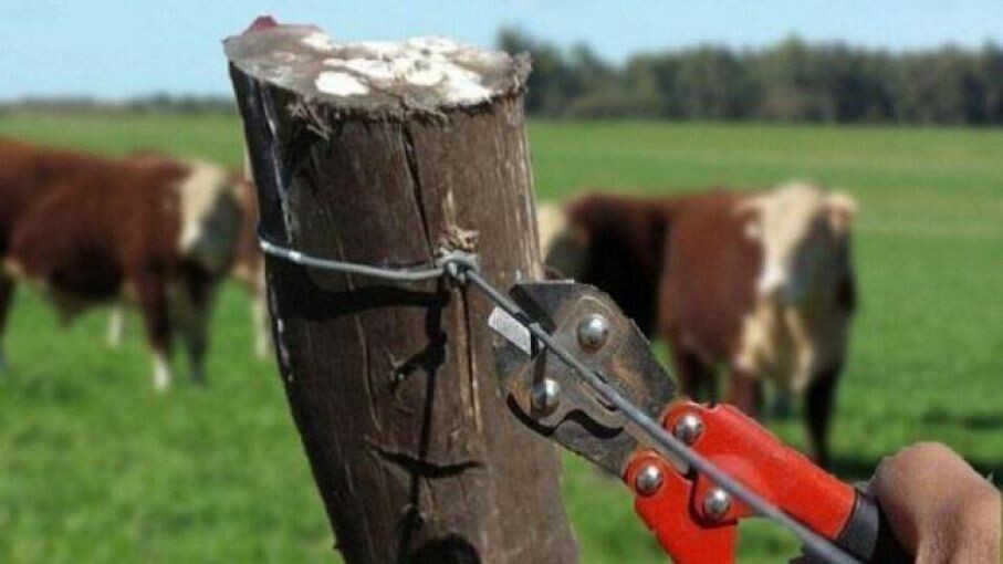 Productores se reúnen en Vera ante el aumento de los delitos rurales