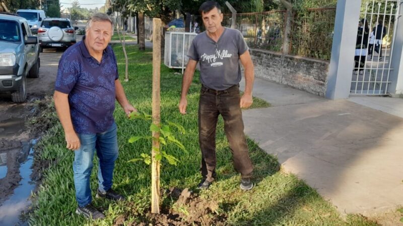 La Vecinal de Bº Unidos impulsa plantación de árboles junto a la escuela del barrio