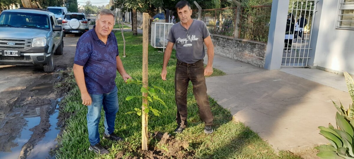 La Vecinal de Bº Unidos impulsa plantación de árboles junto a la escuela del barrio