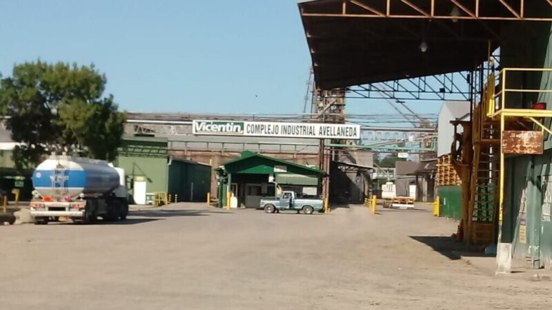 Lorenzini autorizó nuevos contratos de fazón de soja y girasol para el Complejo Vicentín