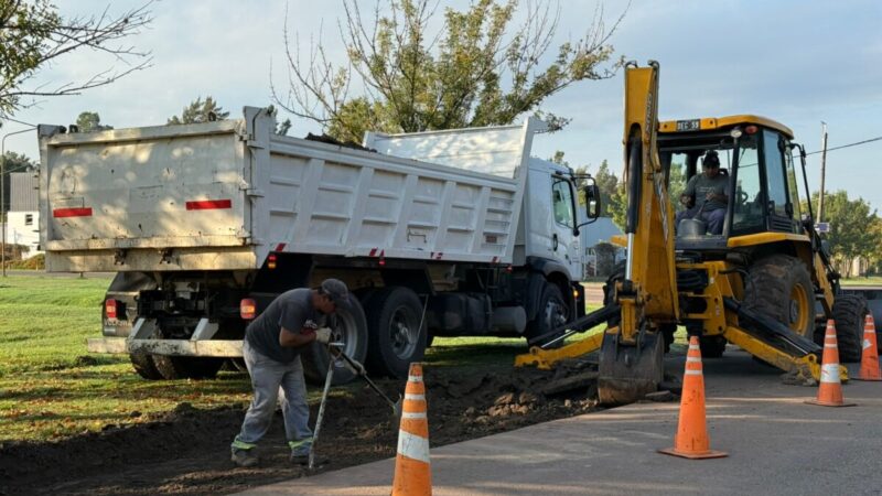 Avellaneda: tránsito interrumpido por trabajos de bacheo