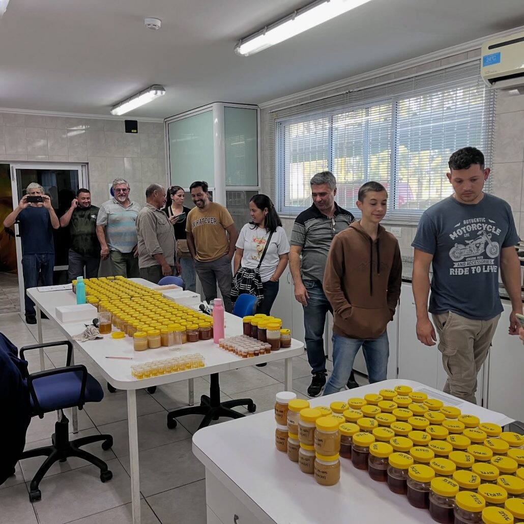 Romang impulsa la producción apícola ¿en qué consisten las actividades?