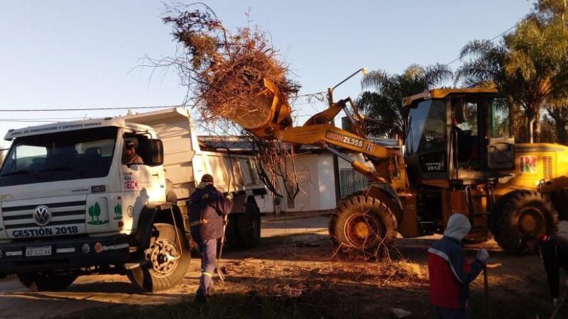 Residuos en Reconquista: el gran desafío ambiental que comienza en casa