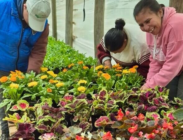El vivero inclusivo de Avellaneda ofrece plantines ¿qué puedo regalar a mi amigo?