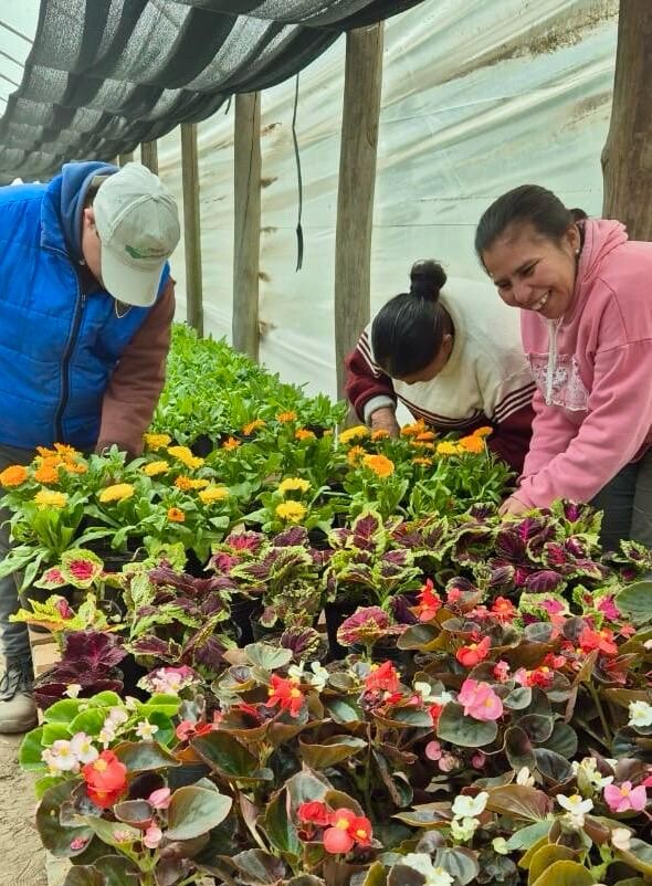 El vivero inclusivo de Avellaneda ofrece plantines ¿qué puedo regalar a mi amigo?