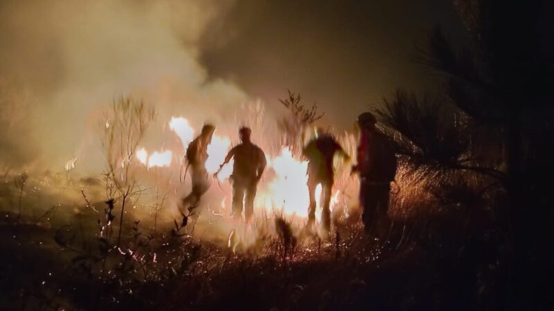 Incendio arrasó la zona este de Reconquista durante seis horas ¿cómo empezó el fuego?