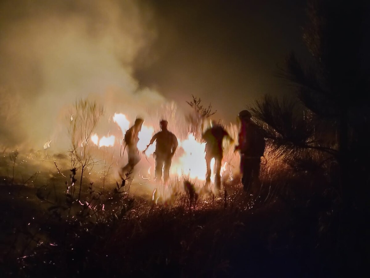 Incendio arrasó la zona este de Reconquista durante seis horas ¿cómo empezó el fuego?