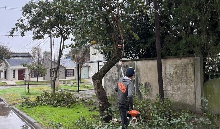Avellaneda realiza trabajos de mantenimiento en zona urbana y rural
