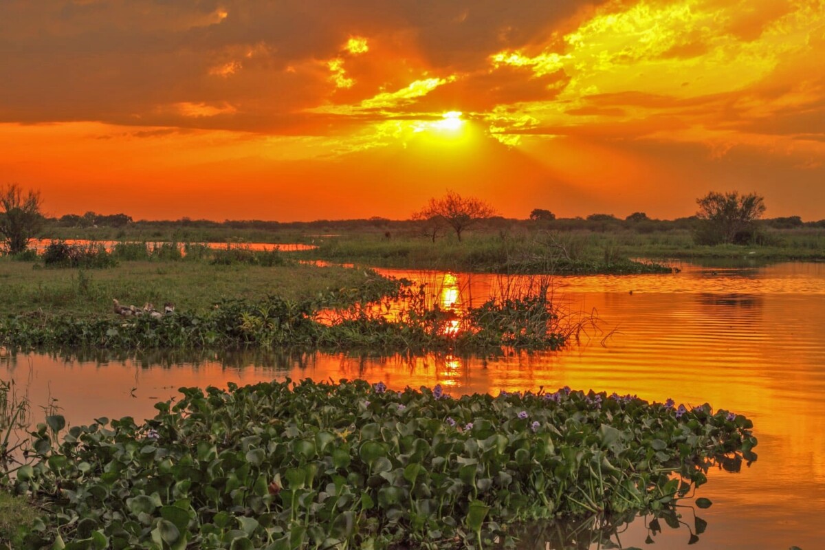 Reconquista: una ciudad para descubrir en vacaciones de invierno. Mirá las actividades