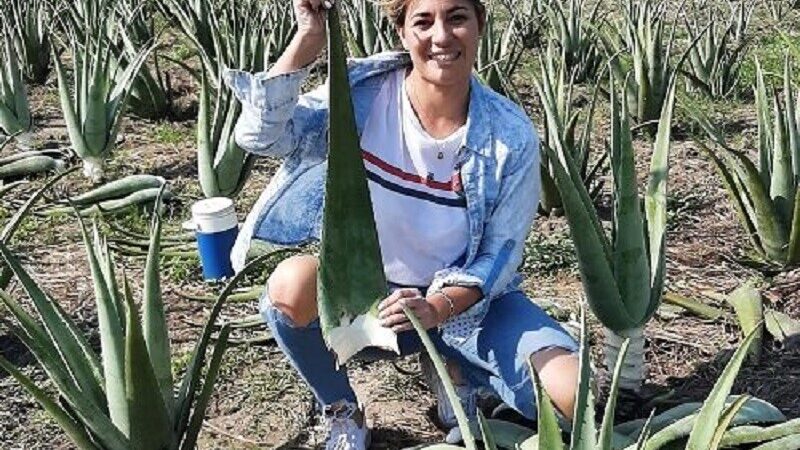 Inauguran en Las Toscas el Primer Circuito Turístico del Aloe Vera del País