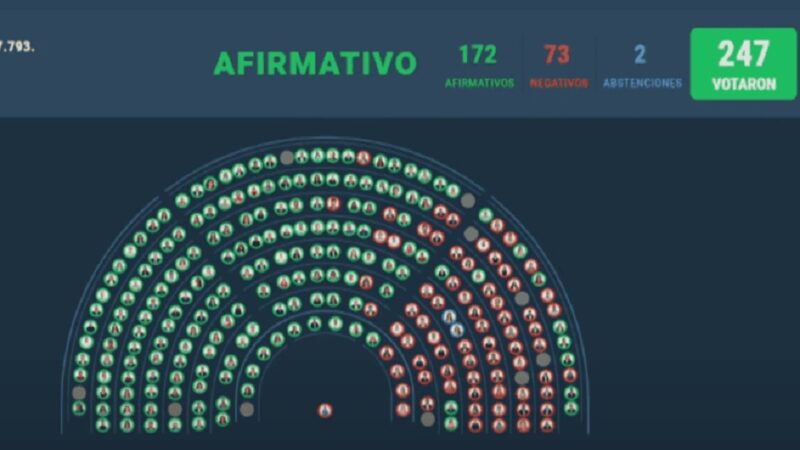 Diputados rechazó el veto de Milei a la Ley de Discapacidad